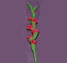 Dollhouse Miniature Gladiolas, Red, Per Stem